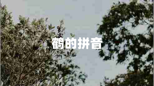 鶴的拼音