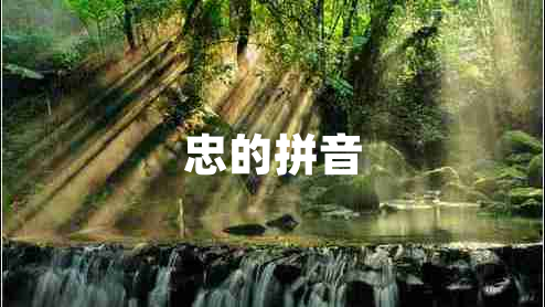 忠的拼音 忠的拼音