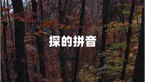 探的拼音 探的拼音