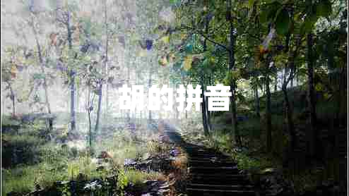 胡的拼音 胡的拼音