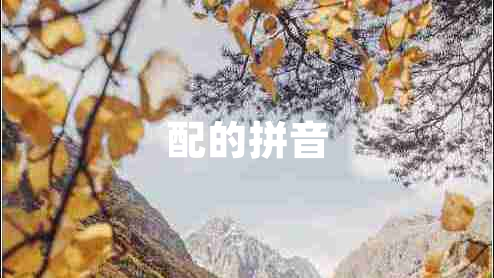 配的拼音 配的拼音