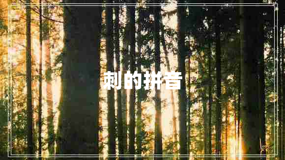 刺的拼音 刺的拼音