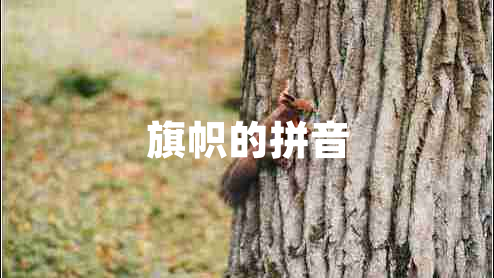 旗幟的拼音 旗幟的拼音