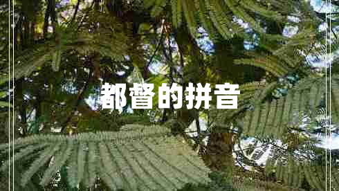 都督的拼音 都督的拼音