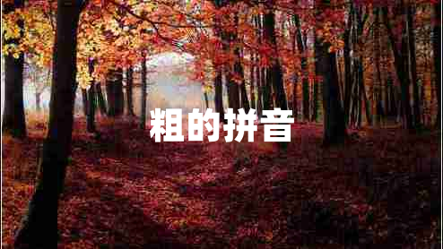 粗的拼音 粗的拼音