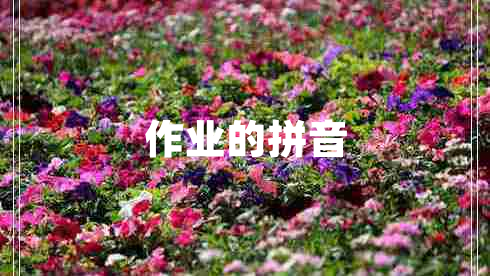 作業(yè)的拼音