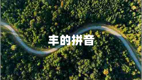 豐的拼音 豐的拼音