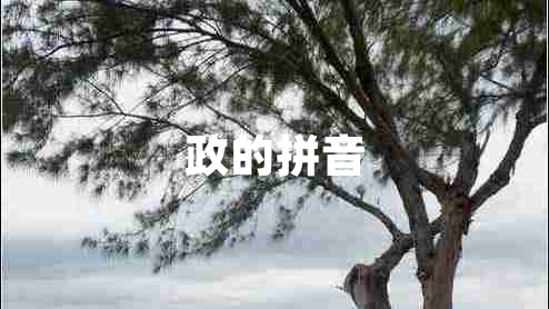 政的拼音 政的拼音