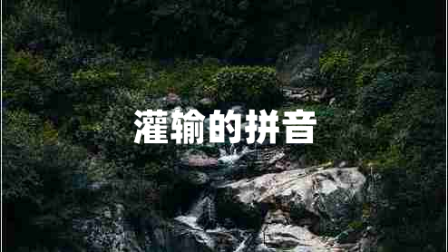 灌輸?shù)钠匆? title=