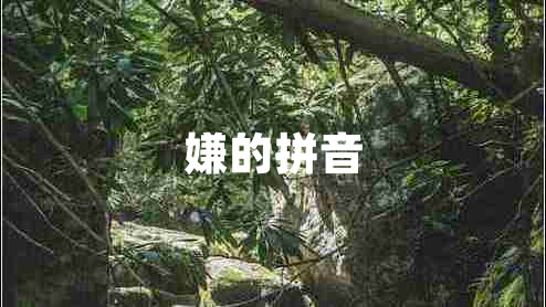 嫌的拼音 嫌的拼音