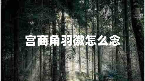 宮商角羽徽怎么念 宮商角羽徽怎么念