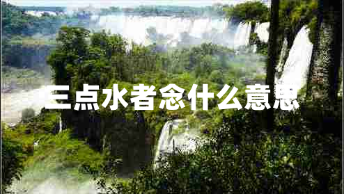 三點(diǎn)水者念什么意思 三點(diǎn)水者念什么意思