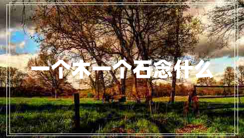 一個木一個石念什么