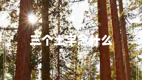 三個土字念什么