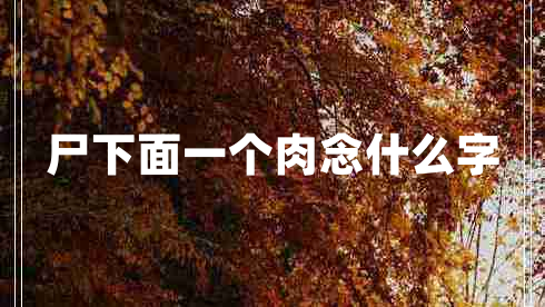 尸下面一個(gè)肉念什么字