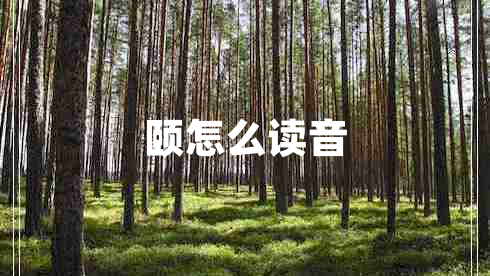 頤怎么讀音 頤怎么讀音