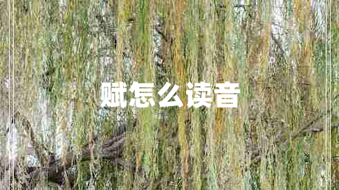 賦怎么讀音 賦怎么讀音