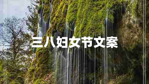 三八婦女節(jié)文案 三八婦女節(jié)文案