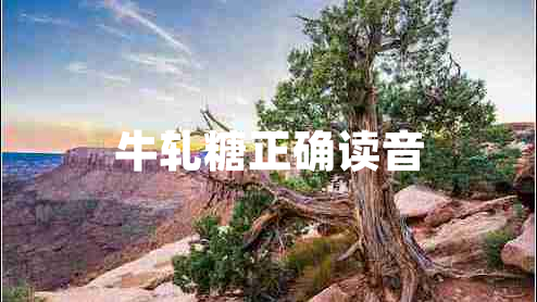 牛軋?zhí)钦_讀音