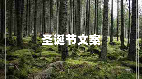 圣誕節(jié)文案 圣誕節(jié)文案