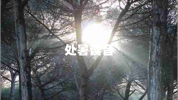 處暑讀音