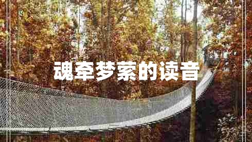 魂?duì)繅?mèng)縈的讀音