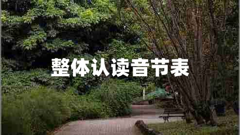 整體認(rèn)讀音節(jié)表 整體認(rèn)讀音節(jié)表