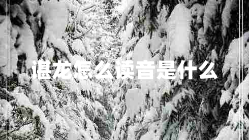 諶龍?jiān)趺醋x音是什么 諶龍?jiān)趺醋x音是什么