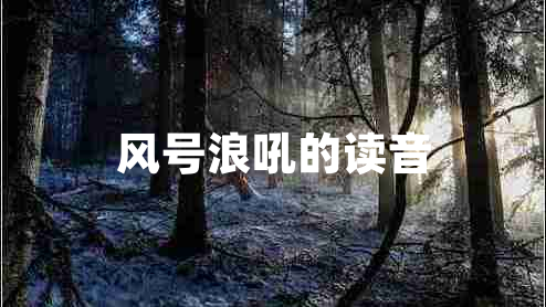 風(fēng)號浪吼的讀音