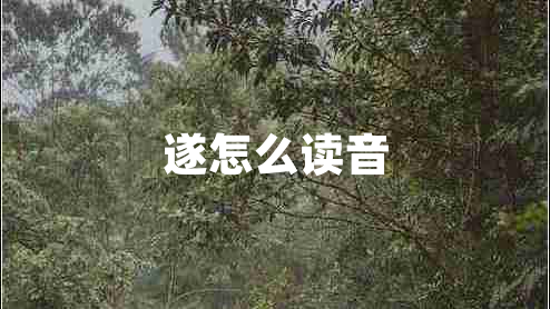 遂怎么讀音 遂怎么讀音