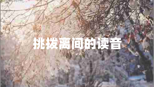 挑撥離間的讀音