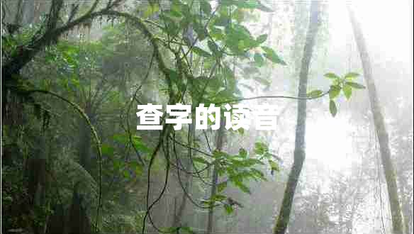 查字的讀音 查字的讀音