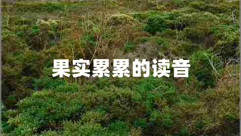 果實累累的讀音 果實累累的讀音