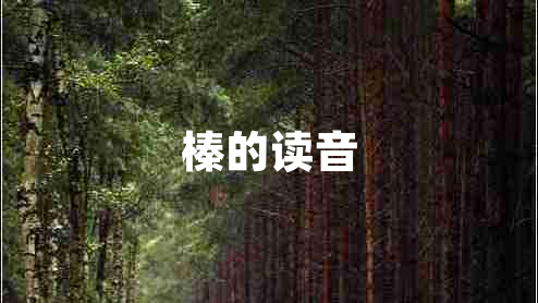 榛的讀音 榛的讀音