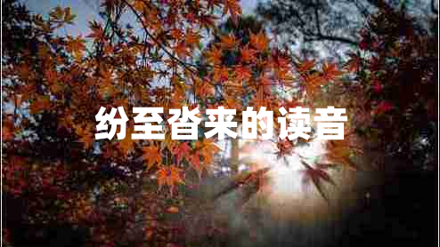 紛至沓來的讀音