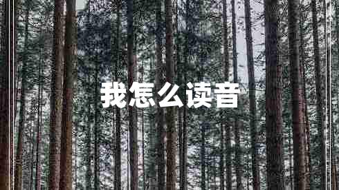 我怎么讀音