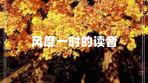 風(fēng)靡一時(shí)的讀音
