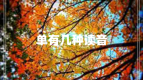單有幾種讀音 單有幾種讀音