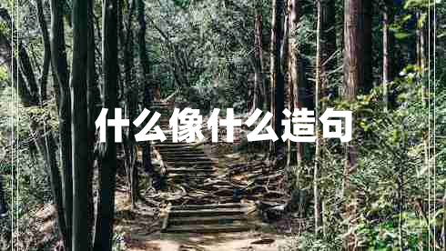 什么像什么造句