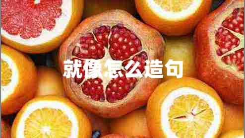 就像怎么造句 就像怎么造句