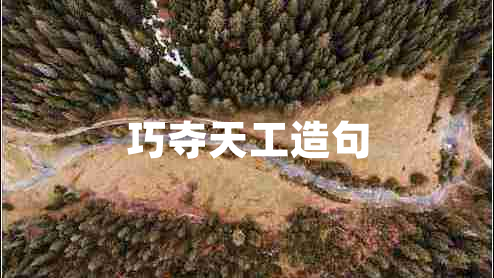 巧奪天工造句 巧奪天工造句