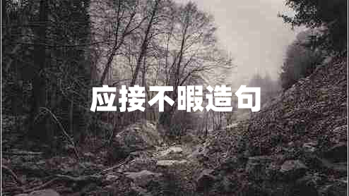 應(yīng)接不暇造句 應(yīng)接不暇造句