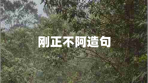 剛正不阿造句 剛正不阿造句