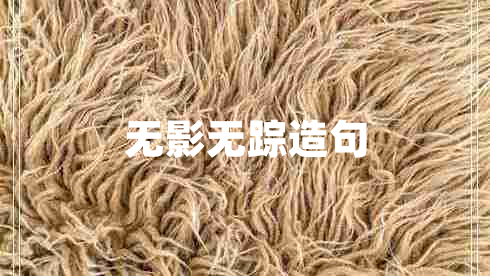 無(wú)影無(wú)蹤造句 無(wú)影無(wú)蹤造句