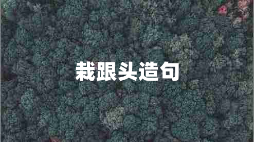 栽跟頭造句 栽跟頭造句