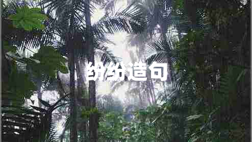 紛紛造句 紛紛造句