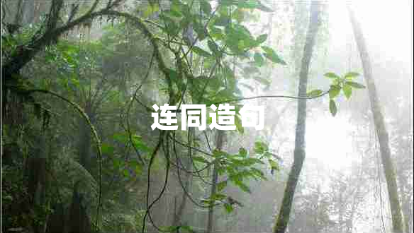 連同造句 連同造句