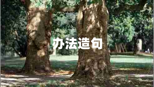 辦法造句 辦法造句