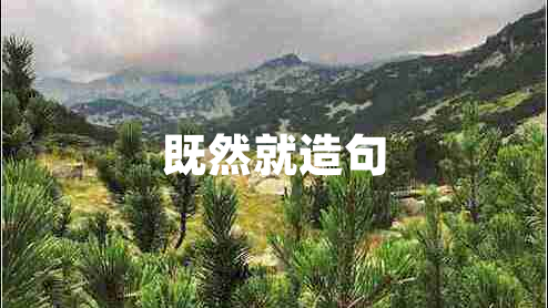 既然就造句 既然就造句