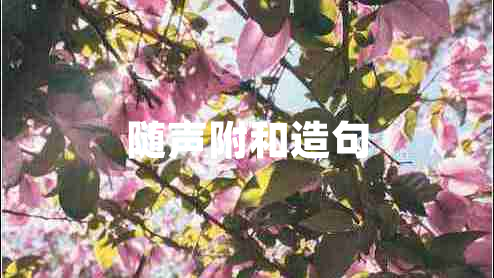 隨聲附和造句 隨聲附和造句